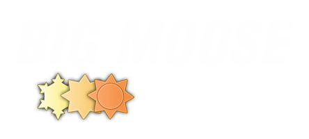 Big Moose Yamaha / Arctic Cat